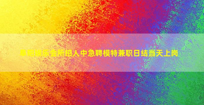 南阳酒吧招聘